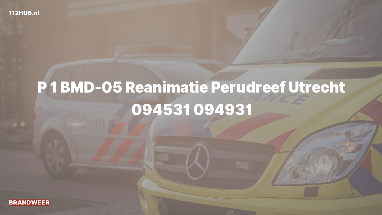 Deelafbeelding voor P2000-melding.
