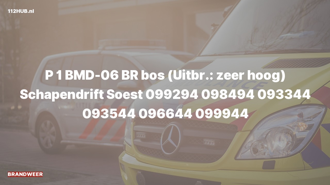 Deelafbeelding voor Brandweer met spoed naar de Schapendrift in Soest.