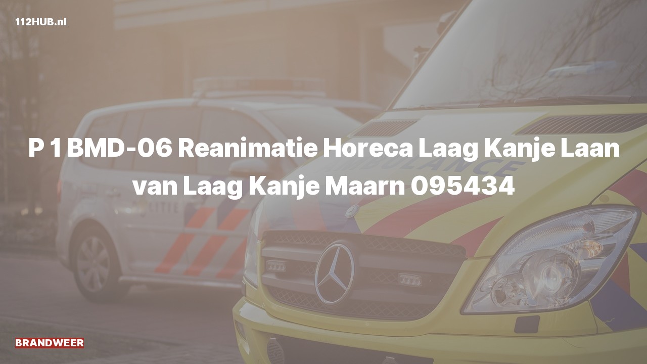 Deelafbeelding voor Brandweer met spoed naar de Laan van Laag Kanje in Maarn.