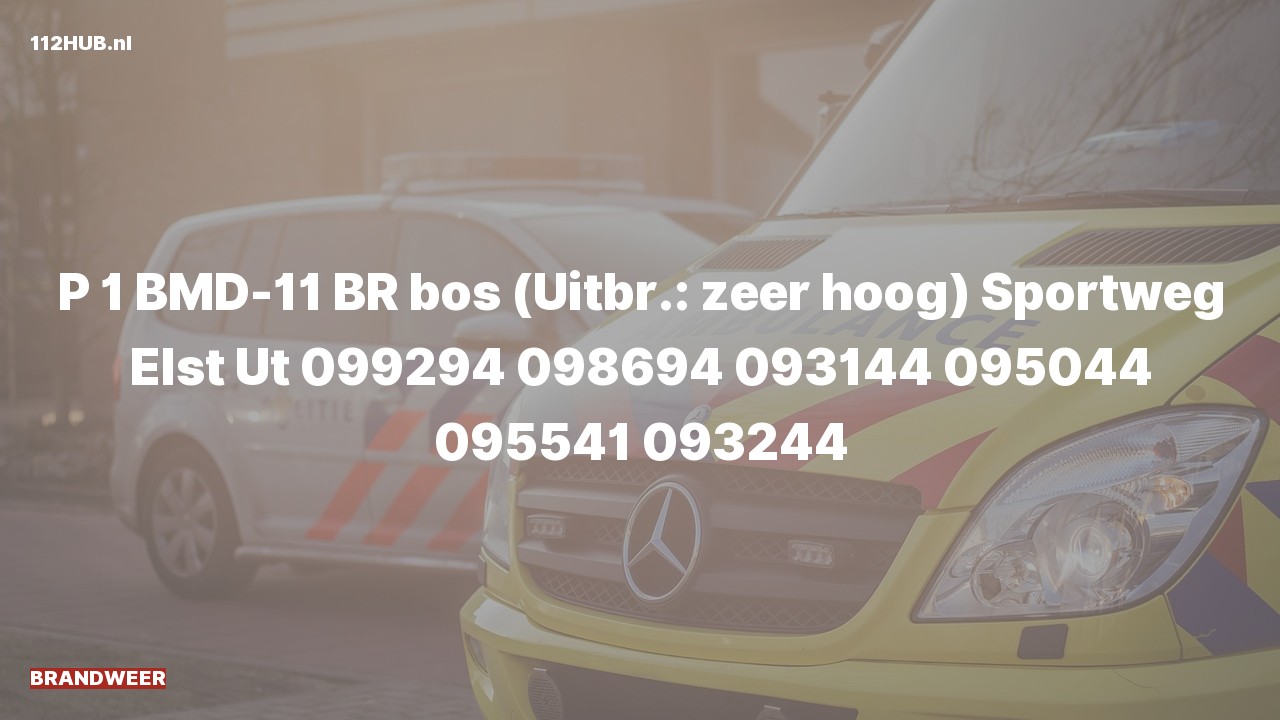 Deelafbeelding voor Brandweer met spoed naar de Sportweg in Elst Ut.
