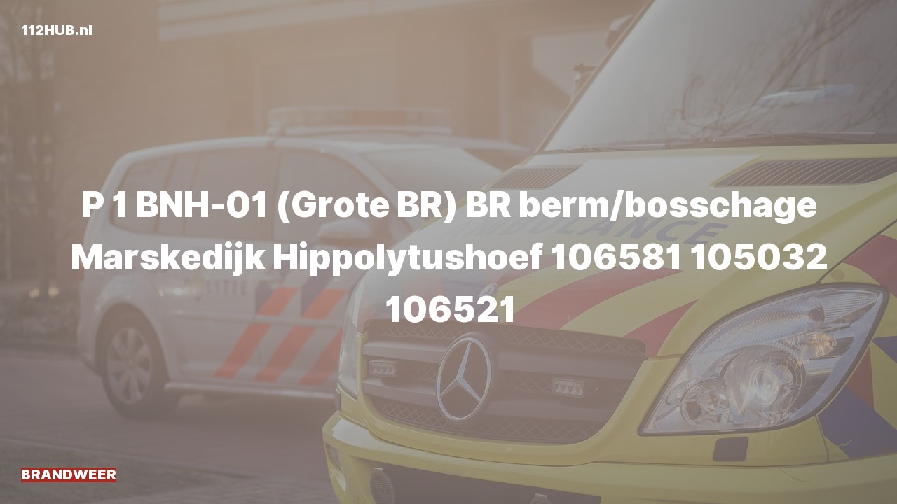 Deelafbeelding voor Brandweer met spoed.