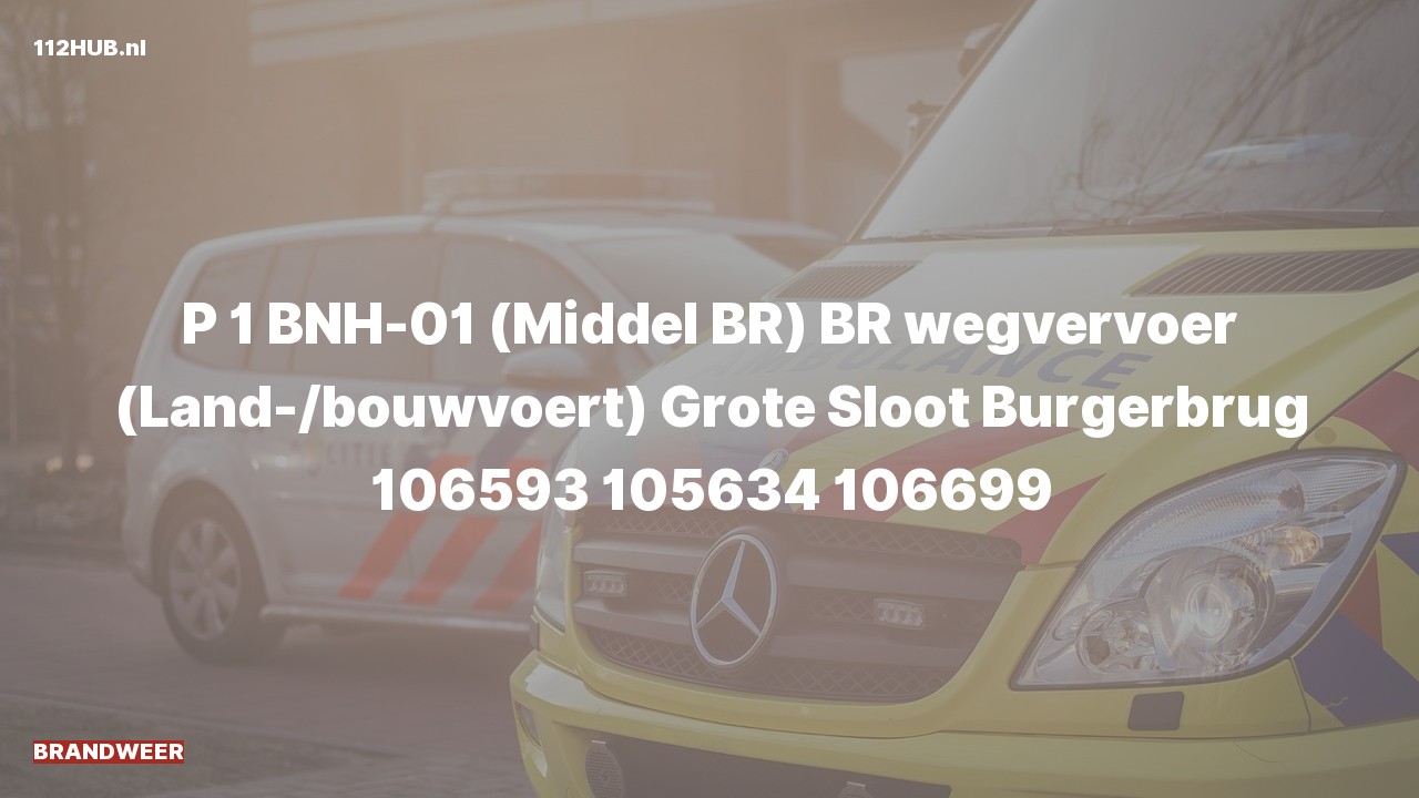 Deelafbeelding voor Brandweer met spoed naar de Grote Sloot in Burgerbrug.