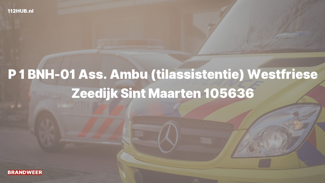 Deelafbeelding voor De brandweer is met spoed uitgerukt voor ambulance-assistentie naar de Westfriese Zeedijk in Sint Maarten