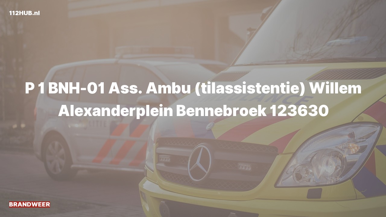 Deelafbeelding voor De brandweer is met spoed uitgerukt voor ambulance-assistentie naar de Willem Alexanderplein in Bennebroek