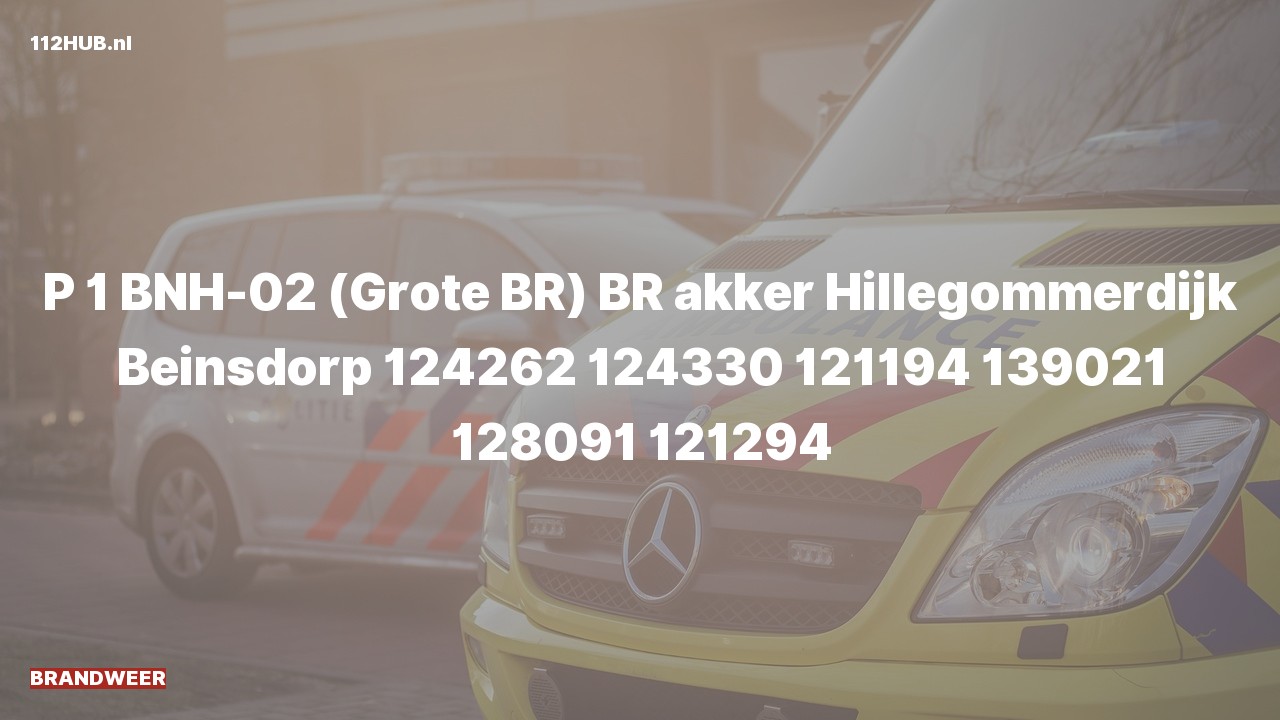 Deelafbeelding voor De brandweer is met spoed uitgerukt voor een brand naar de Hillegommerdijk in Beinsdorp