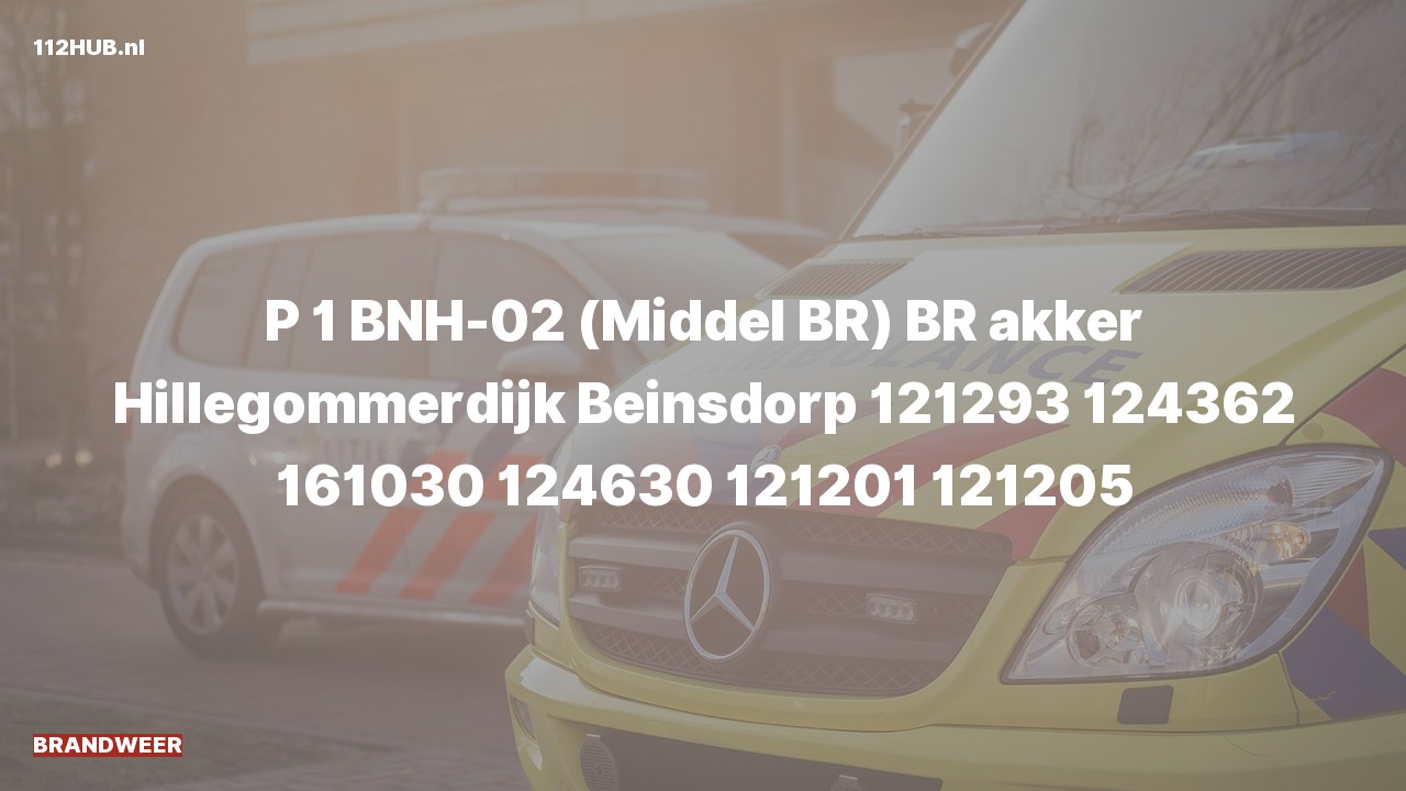 Deelafbeelding voor Brandweer met spoed naar de Hillegommerdijk in Beinsdorp.