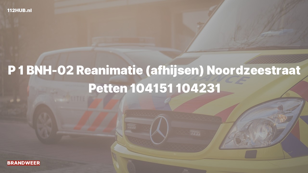 Deelafbeelding voor Brandweer met spoed voor afhijsen naar de Noordzeestraat in Petten.