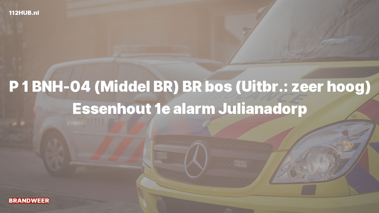 Deelafbeelding voor Brandweer met spoed naar de Essenhout in Julianadorp.