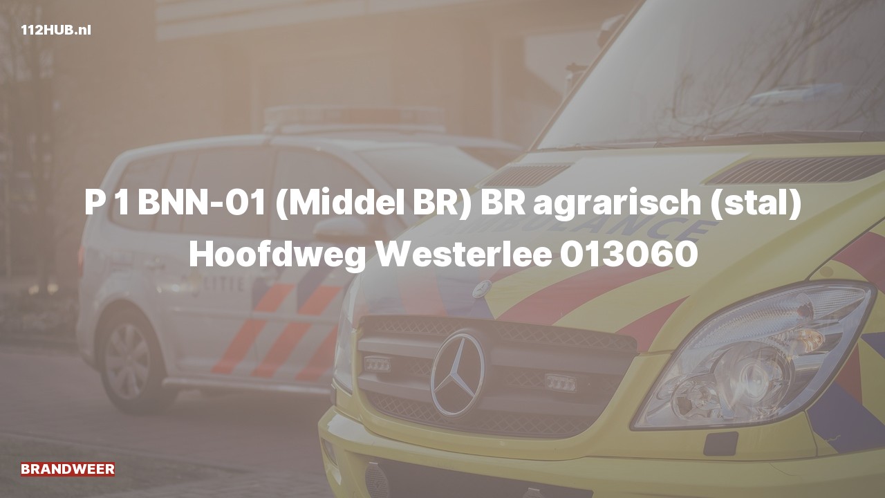 Deelafbeelding voor P2000-melding.