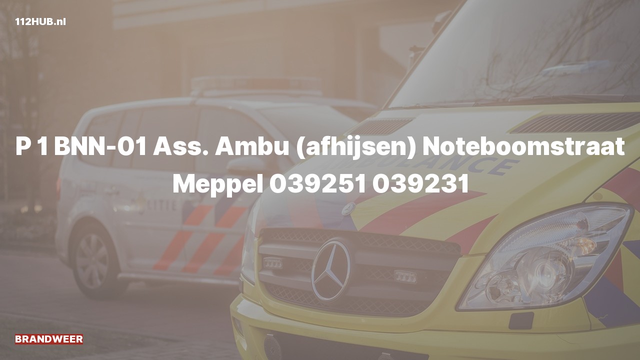 Deelafbeelding voor P2000-melding voor afhijsen.