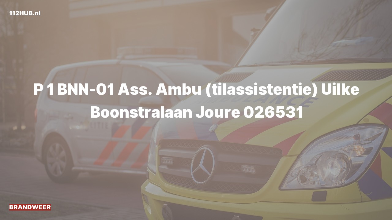 Deelafbeelding voor Brandweer met spoed voor ambulance-assistentie naar de Uilke Boonstralaan in Joure.