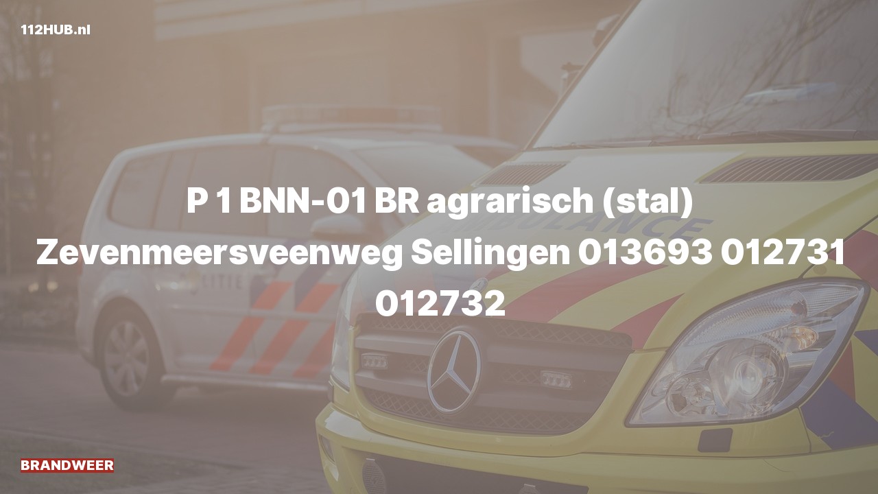 Deelafbeelding voor Brandweer met spoed naar de Zevenmeersveenweg in Sellingen.