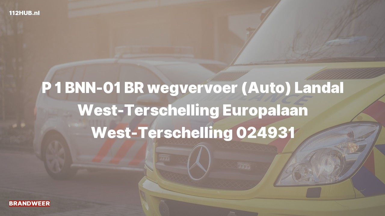 Deelafbeelding voor Brandweer met spoed naar de Europalaan in West-Terschelling.