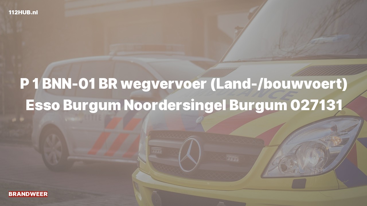 Deelafbeelding voor Brandweer met spoed naar de Noordersingel in Burgum.