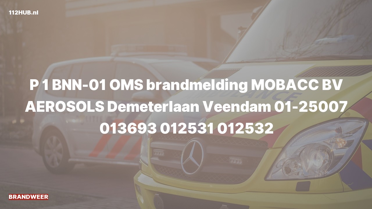 Deelafbeelding voor P2000-melding voor automatische brandmelding.