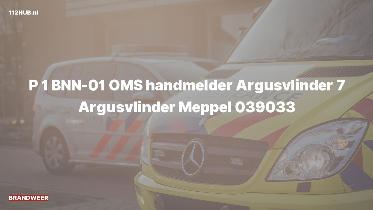 Deelafbeelding voor Brandweer met spoed naar de Argusvlinder in Meppel.