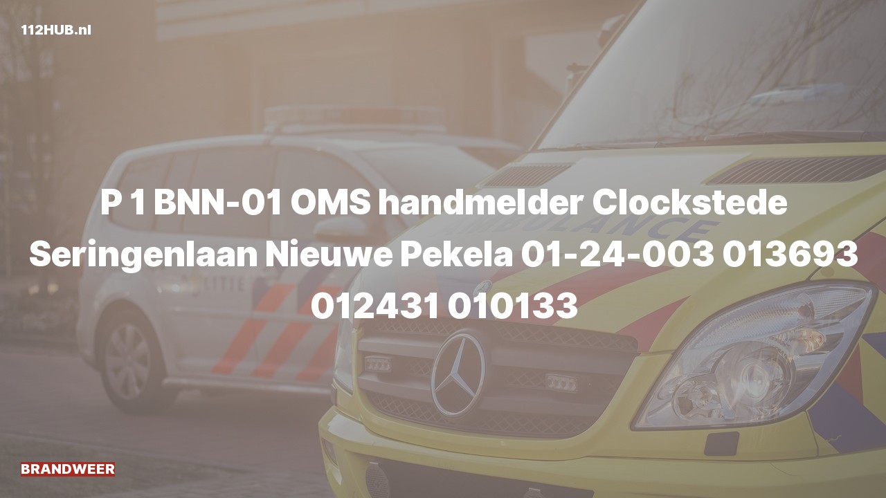 Deelafbeelding voor Brandweer met spoed naar de Seringenlaan in Nieuwe Pekela.