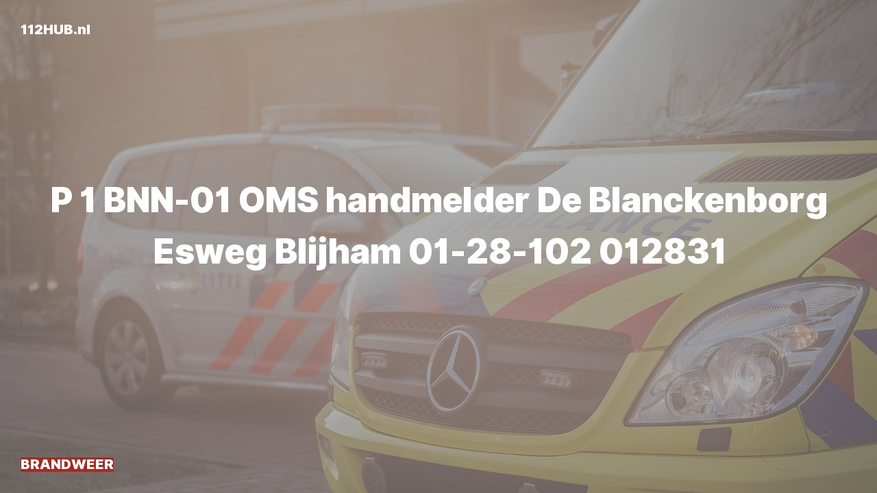 Deelafbeelding voor Brandweer met spoed naar de Esweg in Blijham.