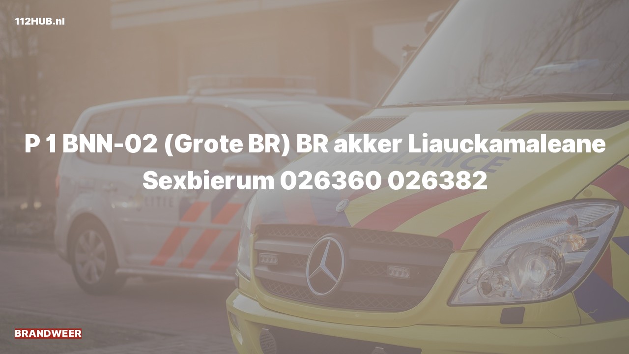 Deelafbeelding voor Brandweer met spoed naar de Liauckamaleane in Sexbierum.