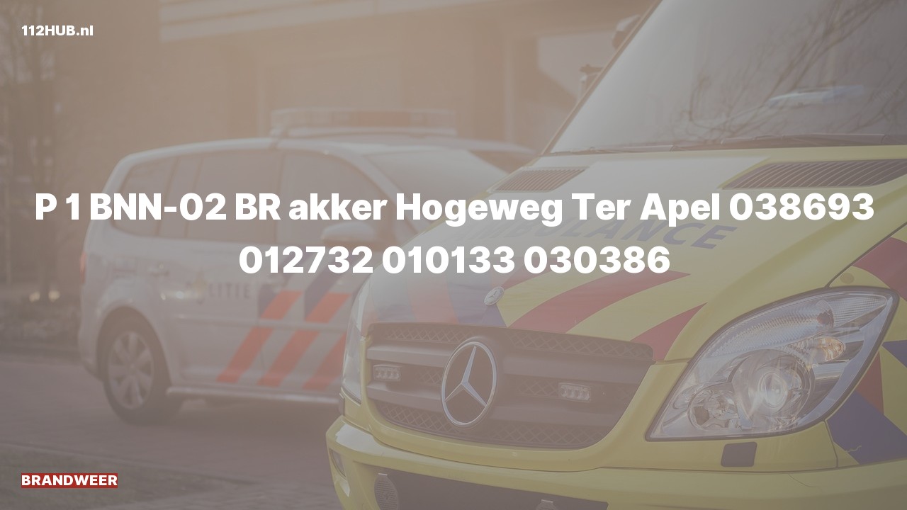 Deelafbeelding voor Brandweer met spoed.