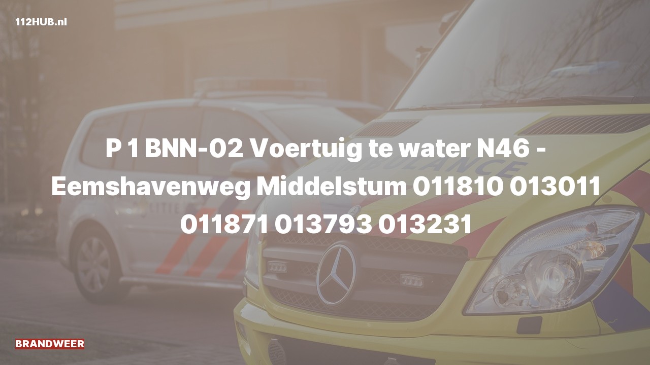 Deelafbeelding voor De brandweer is met spoed uitgerukt voor een persoon te water naar de Eemshavenweg in Middelstum