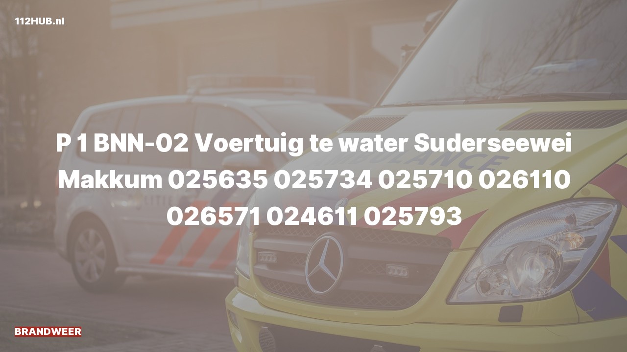 Deelafbeelding voor Brandweer met spoed naar de Suderseewei in Makkum.