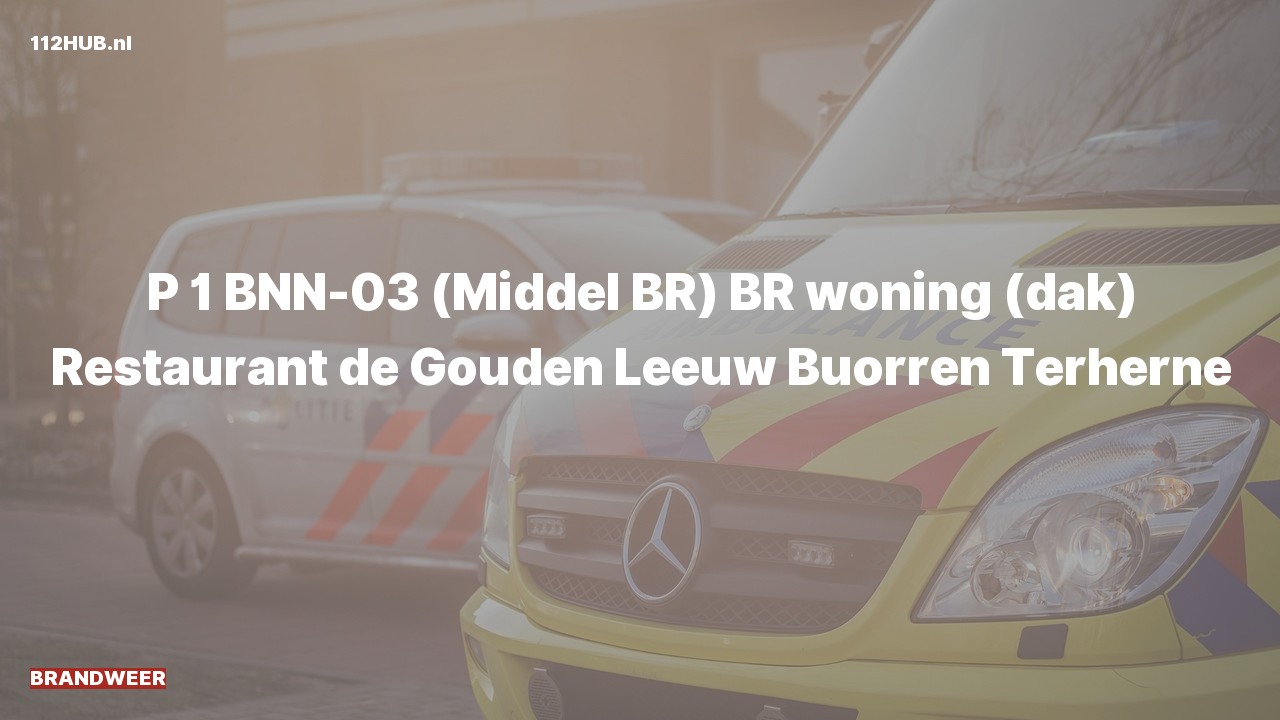 Deelafbeelding voor Brandweer met spoed voor brand in woning naar de Buorren in Terherne.