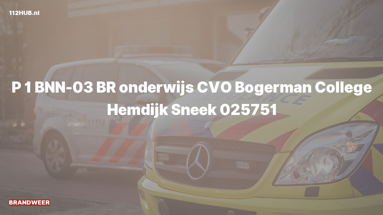 Deelafbeelding voor Brandweer met spoed naar de Hemdijk in Sneek.