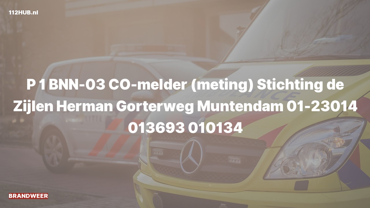 Deelafbeelding voor De brandweer is met spoed uitgerukt voor een CO-melder naar de Herman Gorterweg in Muntendam