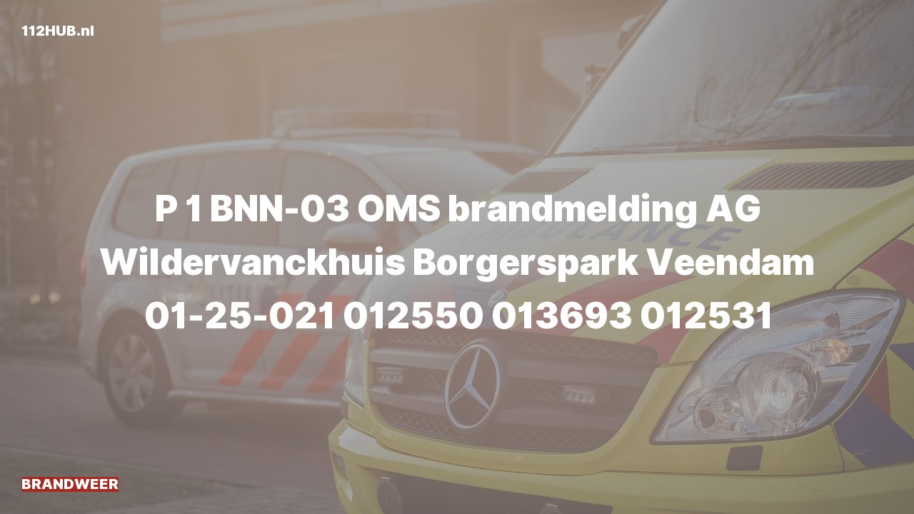 Deelafbeelding voor Brandweer met spoed voor automatische brandmelding naar de Borgerspark in Veendam.