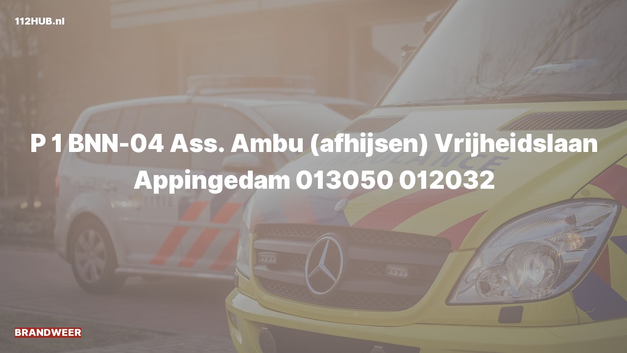 Deelafbeelding voor Brandweer met spoed voor afhijsen naar de Vrijheidslaan in Appingedam.