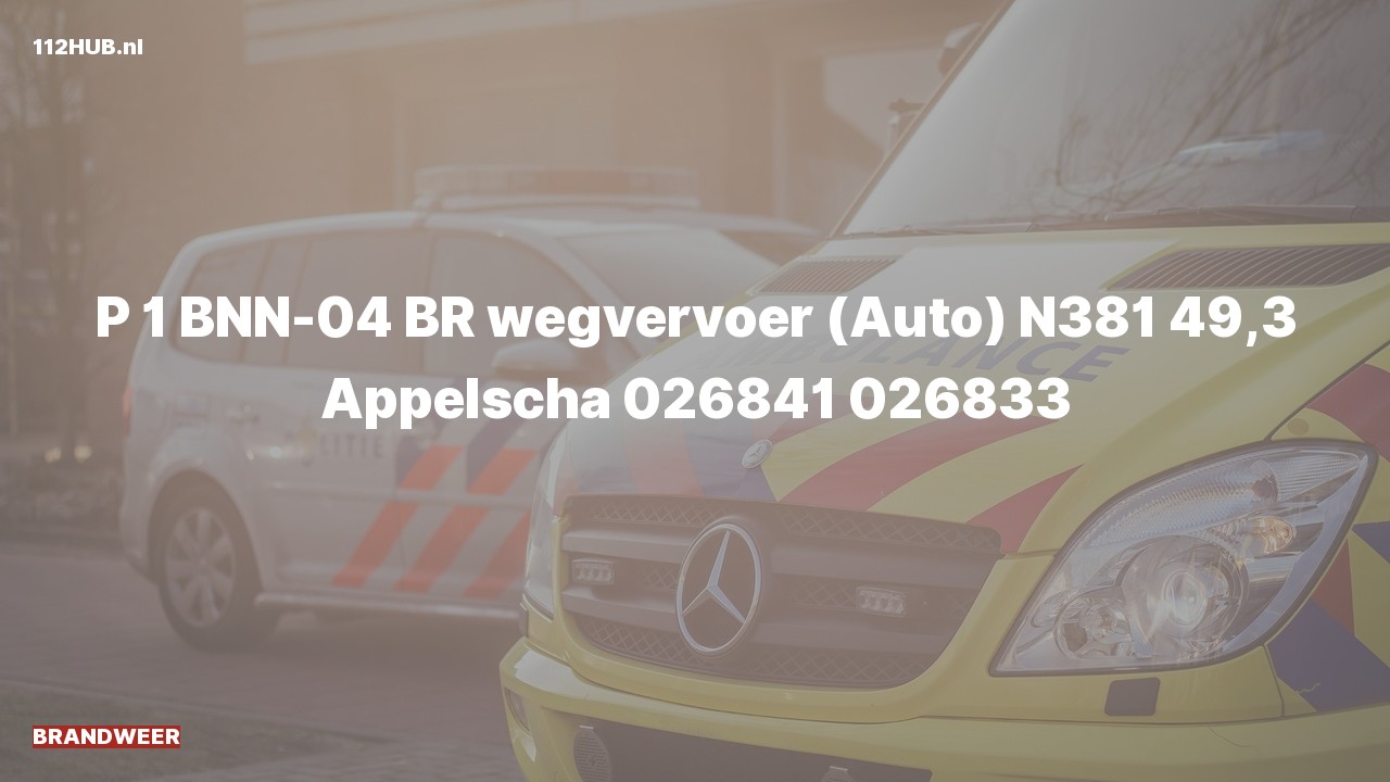 Deelafbeelding voor Brandweer met spoed op de N381 bij hectometerpaaltje 49.3.