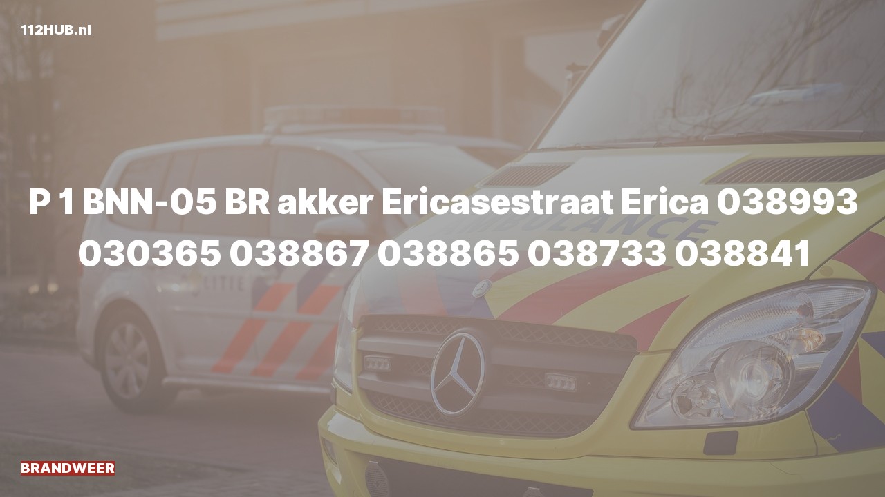 Deelafbeelding voor Brandweer met spoed naar de Ericasestraat in Erica.