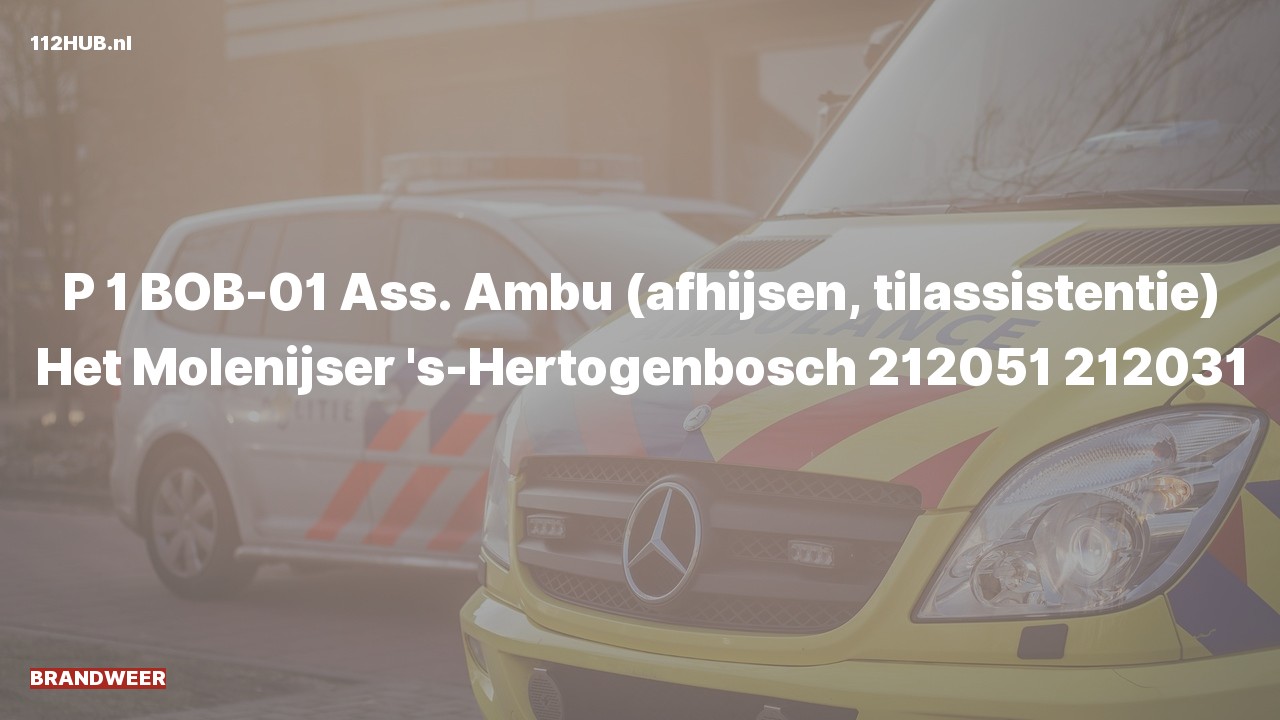 Deelafbeelding voor Brandweer met spoed voor afhijsen naar de Het Molenijser in 's-Hertogenbosch.