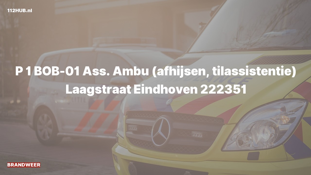 Deelafbeelding voor Brandweer met spoed voor afhijsen naar de Laagstraat in Eindhoven.