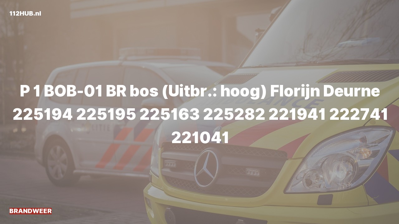 Deelafbeelding voor Brandweer met spoed naar de Florijn in Deurne.