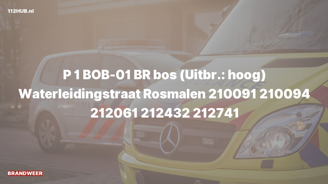 Deelafbeelding voor Brandweer met spoed naar de Waterleidingstraat in Rosmalen.