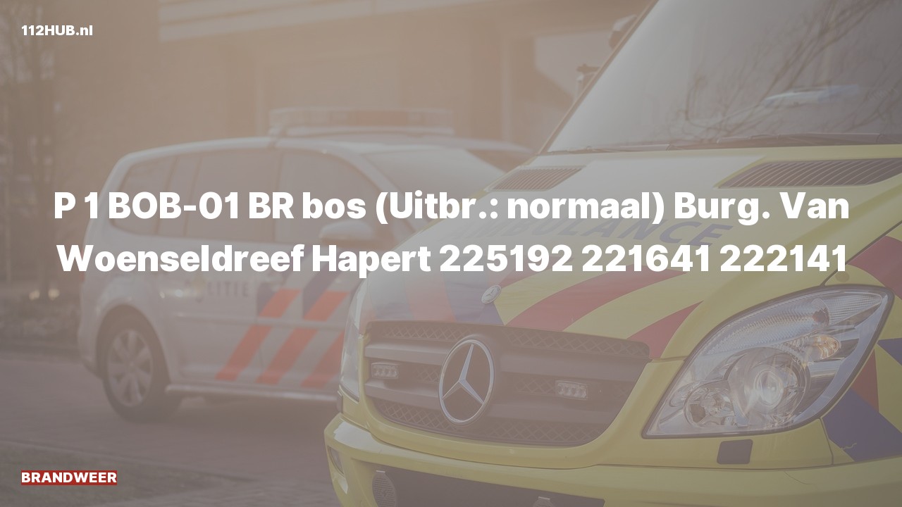 Deelafbeelding voor Brandweer met spoed naar de Burg. Van Woenseldreef in Hapert.