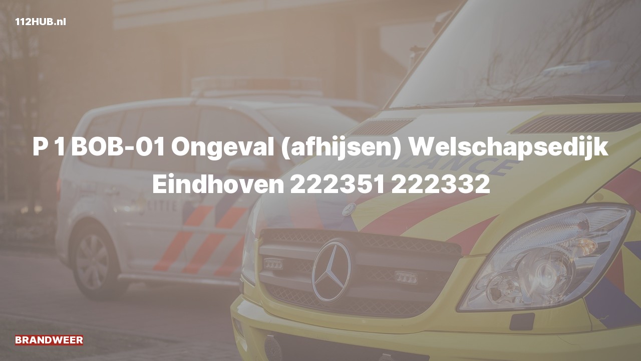 Deelafbeelding voor Brandweer met spoed voor afhijsen naar de Welschapsedijk in Eindhoven.
