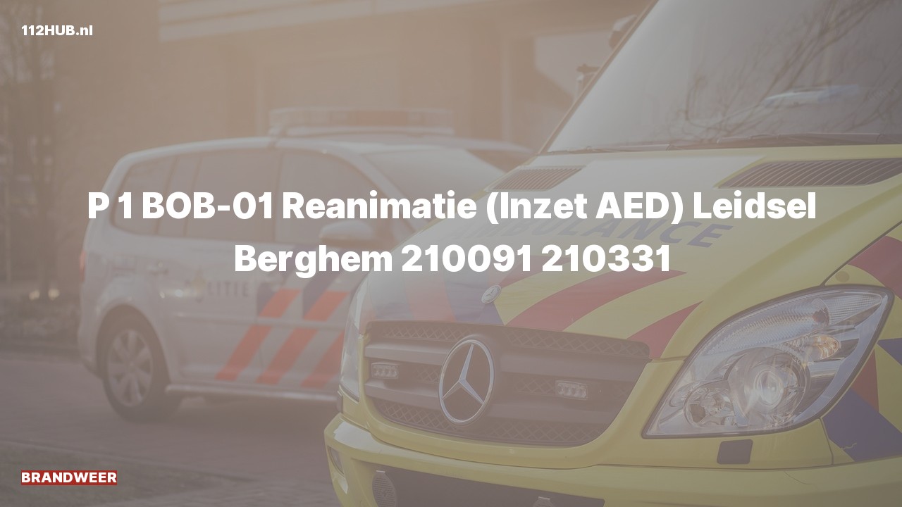Deelafbeelding voor Brandweer met spoed naar de Leidsel in Berghem.