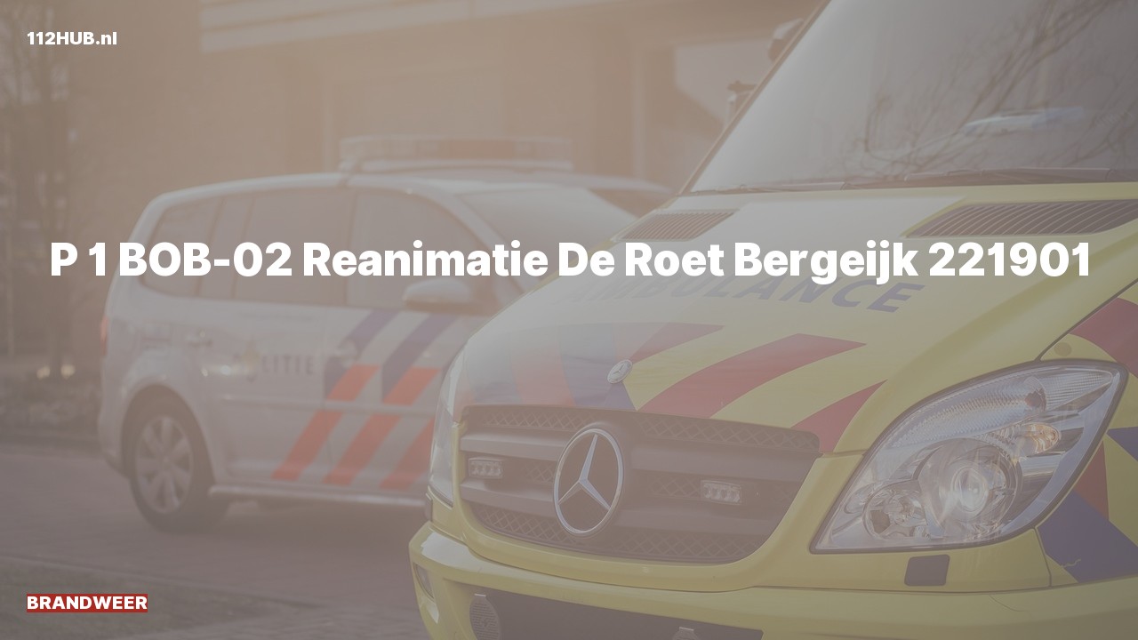 Deelafbeelding voor Brandweer met spoed naar de De Roet in Bergeijk.