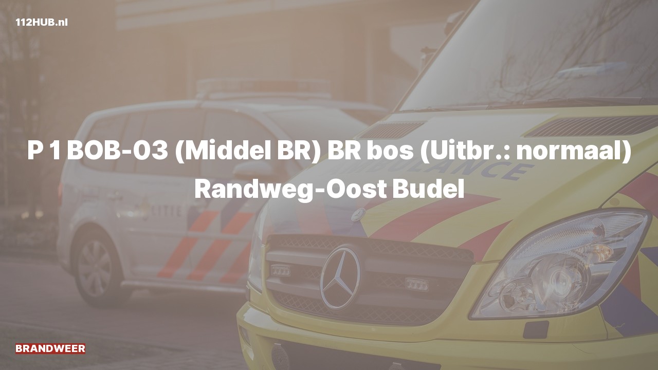 Deelafbeelding voor Brandweer met spoed naar de Randweg-Oost in Budel.