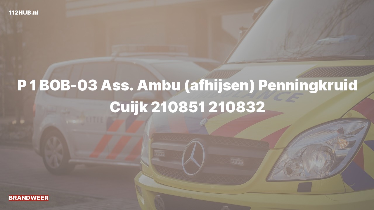 Deelafbeelding voor De brandweer is met spoed uitgerukt voor afhijsen naar de Penningkruid in Cuijk