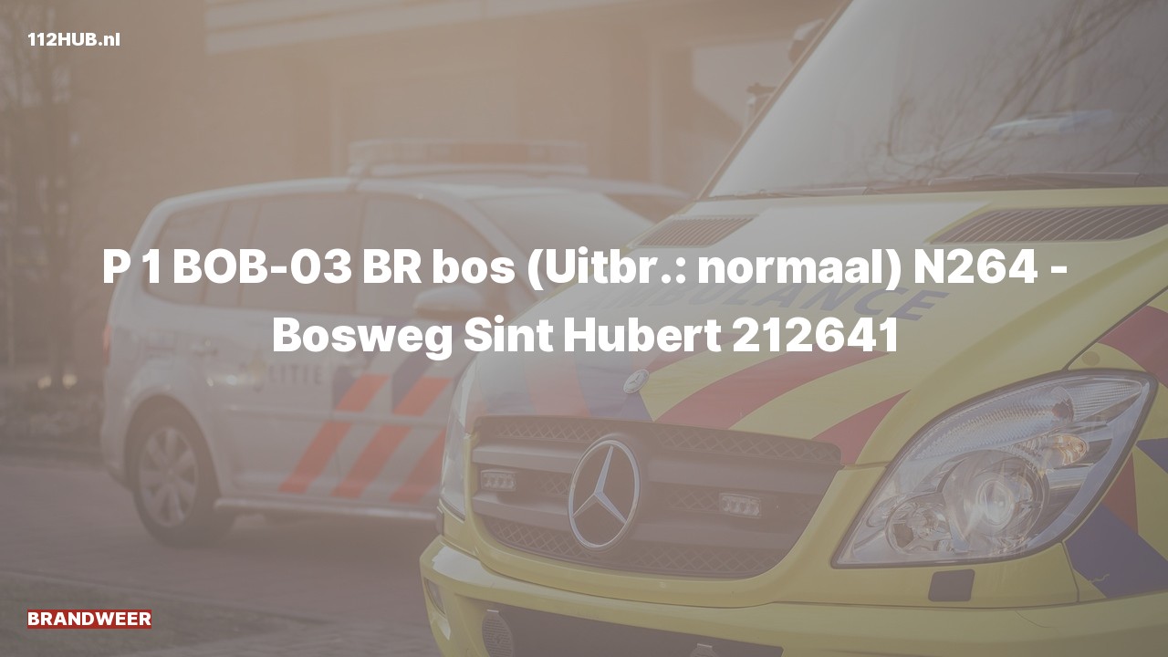 Deelafbeelding voor De brandweer is met spoed uitgerukt voor een brand naar de Bosweg in Boskoop