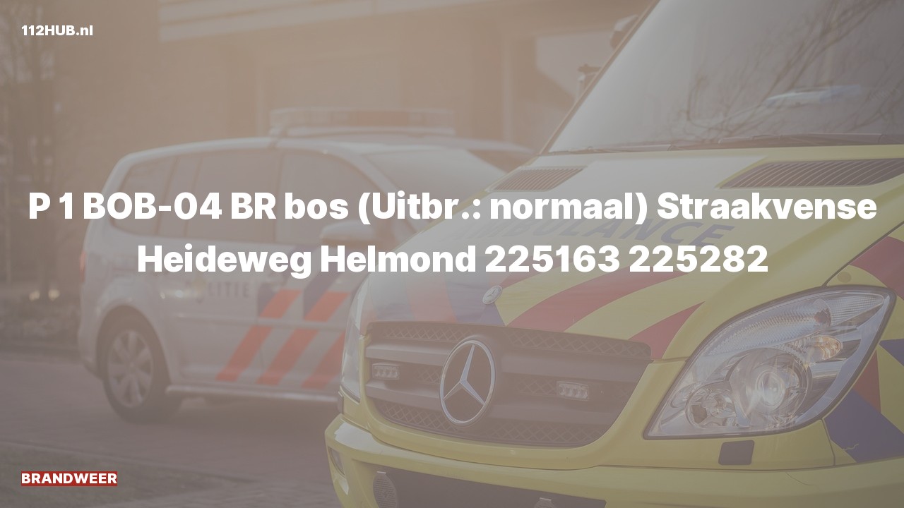 Deelafbeelding voor Brandweer met spoed.