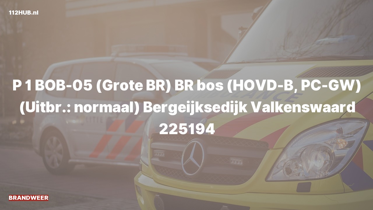 Deelafbeelding voor Brandweer met spoed naar de Bergeijksedijk in Valkenswaard.