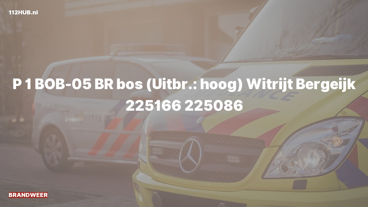 Deelafbeelding voor Brandweer met spoed naar de Witrijt in Bergeijk.