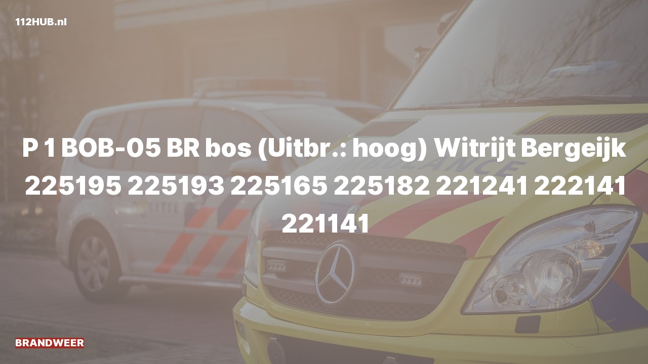 Deelafbeelding voor Brandweer met spoed naar de Witrijt in Bergeijk.