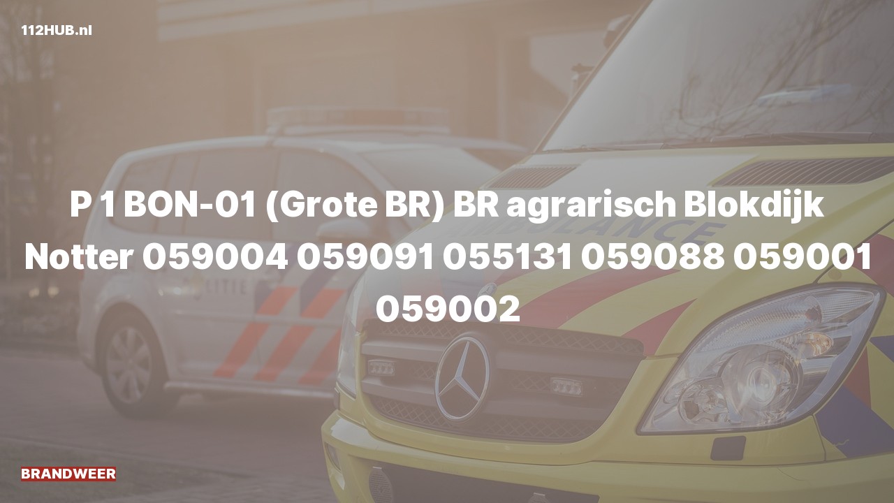 Deelafbeelding voor De brandweer is met spoed uitgerukt voor een brand naar de Blokdijk in Notter
