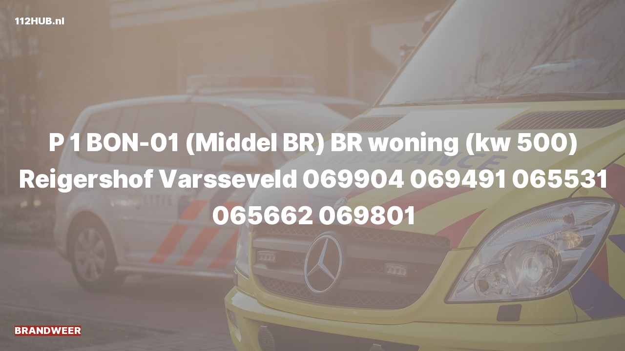 Deelafbeelding voor De brandweer is met spoed uitgerukt voor een woningbrand naar de Reigershof in Varsseveld